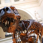 museums