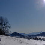 SAM_0479.JPG
