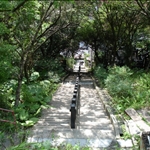 DSC01059.JPG