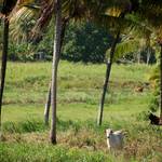 DSC_0074.JPG