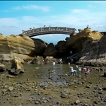 P1030266.jpg