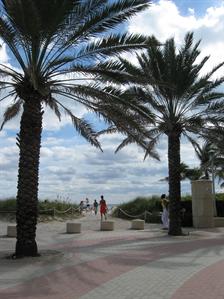 Miami Beach