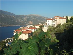 View from our Balcony