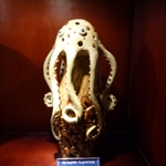 P1000057.JPG