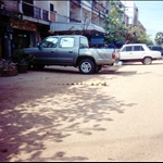 131.jpg