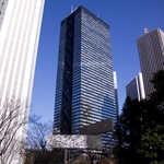 20091225-IMG_8784.jpg