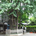 DSC04038.JPG