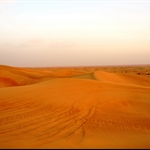 Desert Safari 2012