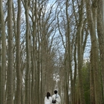 Versailles