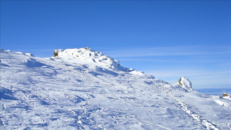 Vitosha