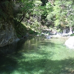 IMG_0197.JPG