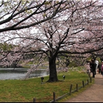 Tokyo 2009