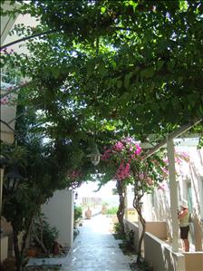 At the Sacallis Hotel, Kefalos Bay