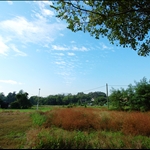 DSC_8869.jpg