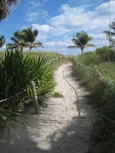 Miami Beach