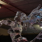 IMG_8662.JPG