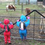 Wimpole Hall Farm 2013