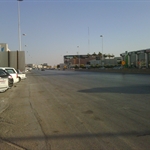 IMG00779-20101114-1558.jpg