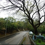 川龍沿荃錦公路上行