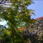 P1030699.jpg
