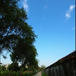 DSC_8867.jpg