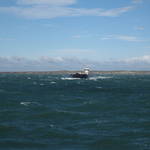 IMG_6551.JPG