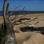 sea coast in Latvia