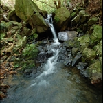 DSC_5438.jpg