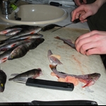 Jämsä (preparing the self-caught fish)