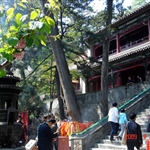 DSC06123.JPG