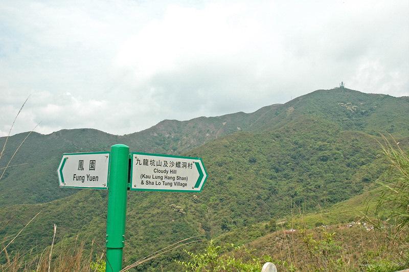 DSC_2583 遠眺九龍坑山 (440米) Kau Lung Hang Shan.jpg