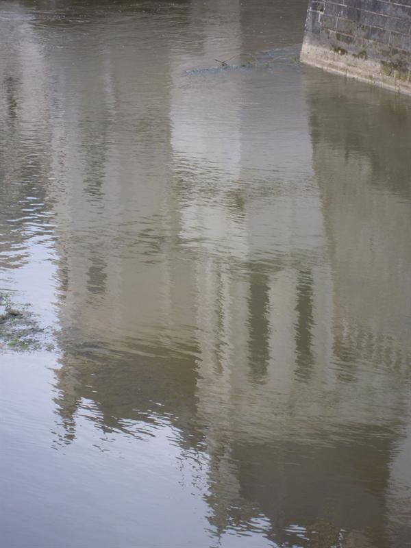DSCN0116.JPG
