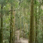 加里山 (13).JPG