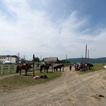 IMG_7086.jpg