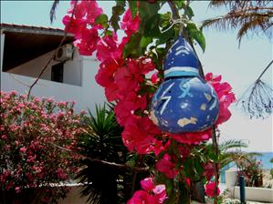 Near to the Sacallis Hotel, Kefalos Bay