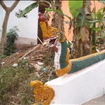 P2062429.JPG