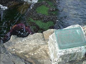 DSCF0817.JPG