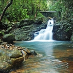 20080701 Keung Fa Stream 羌花澗