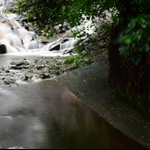 DSC_0008.jpg