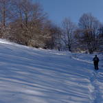SAM_0484.JPG