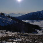 SAM_0490.JPG