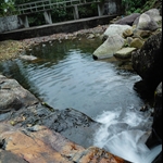 DSC_7188.jpg