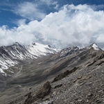 IMG_3558.jpg