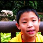 Singapore Zoo