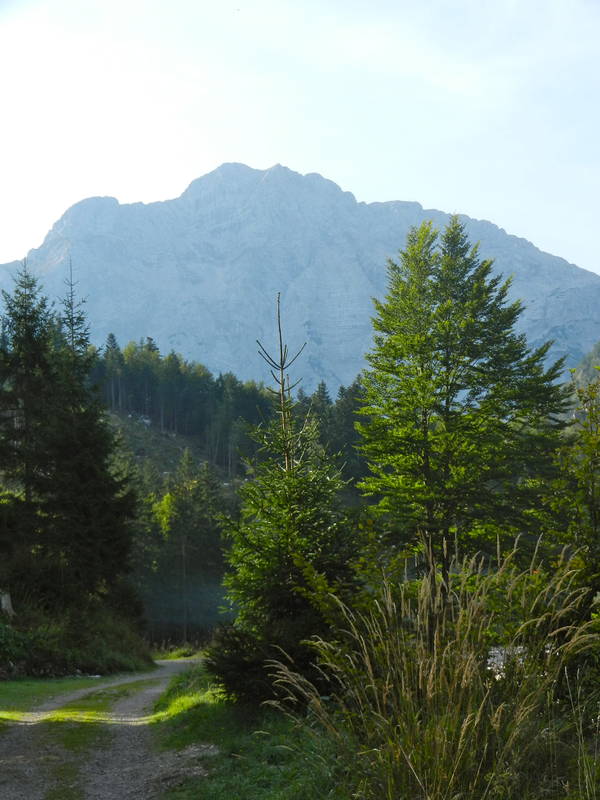 DSCN1766.JPG