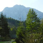 DSCN1766.JPG