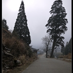P1000107.jpg