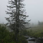 HPIM0110.jpg