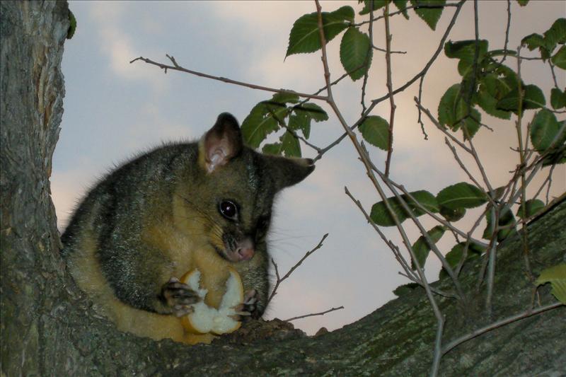 This mate was having dinner with us