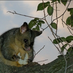 This mate was having dinner with us